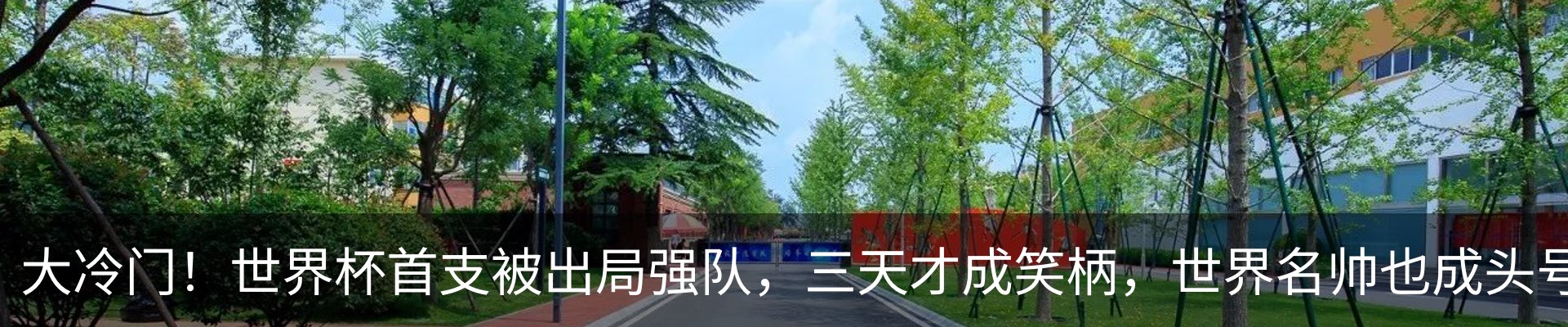 行业资讯